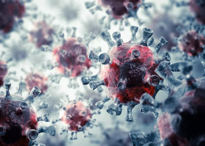 拨开迷雾,民航管理学院是几本?这个问题的背后是择校观的进阶 拨开迷雾,民航管理学院是几本?这个问题的背后是择校观的进阶