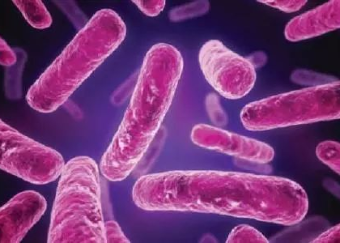 广东近期高发喉咙痒病毒,症状、预防与应对全解析 广东近期高发喉咙痒病毒,症状、预防与应对全解析