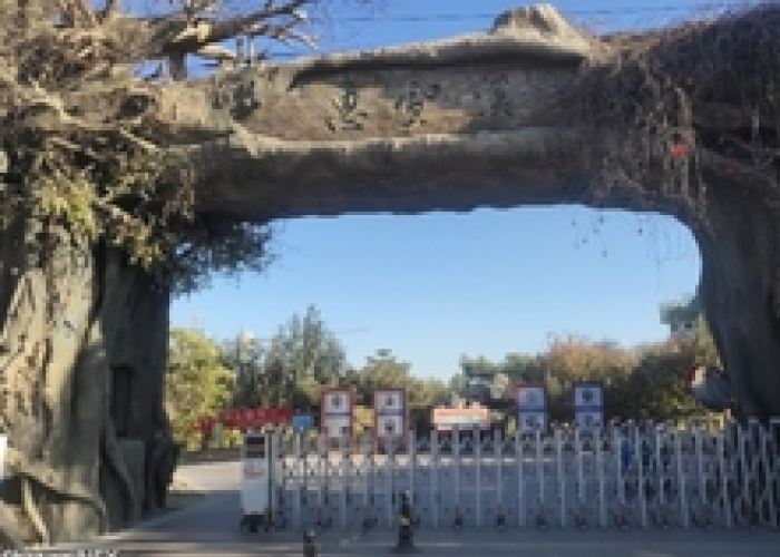 青岛核糖核酸检测,一座滨海名城的科学防线与全民协奏曲 青岛核糖核酸检测,一座滨海名城的科学防线与全民协奏曲