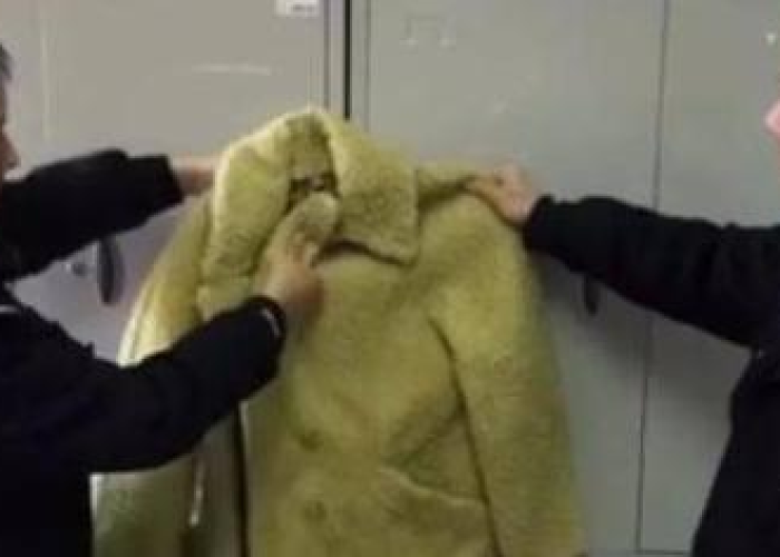 一分钟实测分享“在哪里买炸 金花房卡便宜又好玩”房卡获取方式 一分钟实测分享“在哪里买炸 金花房卡便宜又好玩”房卡获取方式