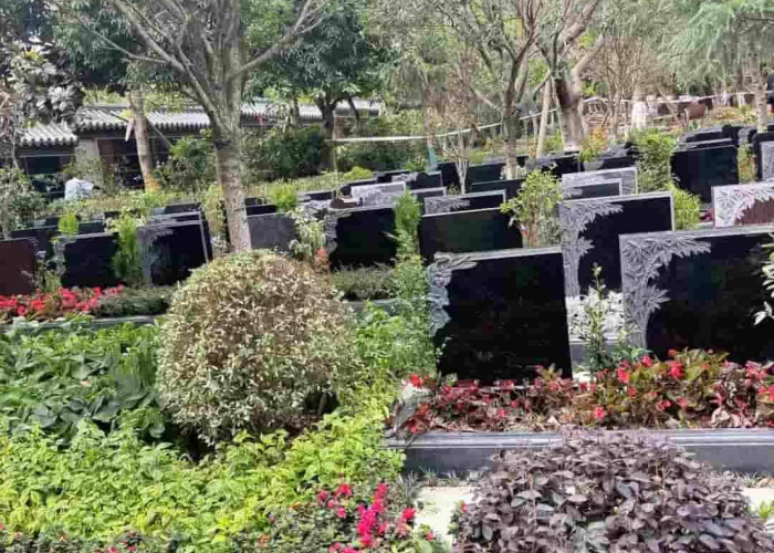 秒懂百科“微信牛牛房卡链接哪里有”房卡获取方式 秒懂百科“微信牛牛房卡链接哪里有”房卡获取方式