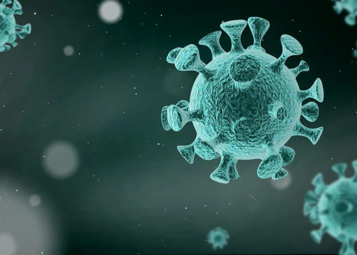 没阳过的人跟阳康接触会被感染吗?科学解析与防护指南 没阳过的人跟阳康接触会被感染吗?科学解析与防护指南