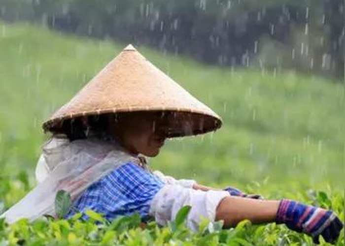 2021年开斋节具体日期解析,全球差异与文化意义探秘 2021年开斋节具体日期解析,全球差异与文化意义探秘