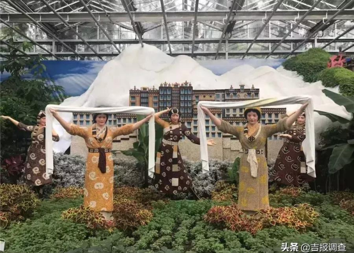 长春新增确诊背后的城市脉动,疫情下的坚守与希望交织 长春新增确诊背后的城市脉动,疫情下的坚守与希望交织