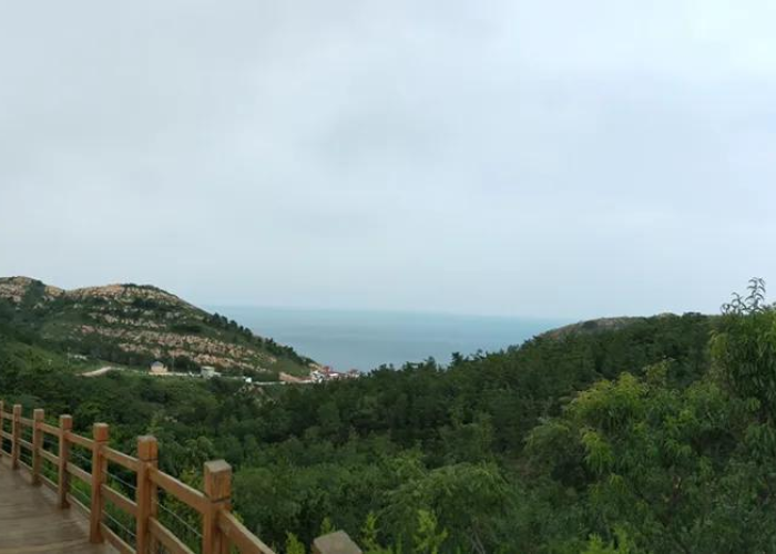 深圳最新出入政策全解析,贰0贰叁年出行必看指南(实时更新版) 深圳最新出入政策全解析,贰0贰叁年出行必看指南(实时更新版)