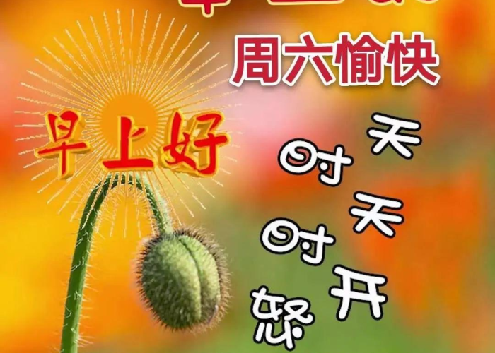 百度独一无二原创标题 百度独一无二原创标题