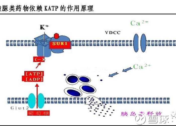 数字战疫的中原智慧,河南省新冠疫情防控医务人员管理服务信息系统深度解析 数字战疫的中原智慧,河南省新冠疫情防控医务人员管理服务信息系统深度解析