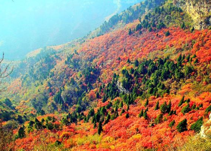 一分钟实测分享“微信群金花链接房卡怎么弄”轻松获取房卡全渠道 一分钟实测分享“微信群金花链接房卡怎么弄”轻松获取房卡全渠道