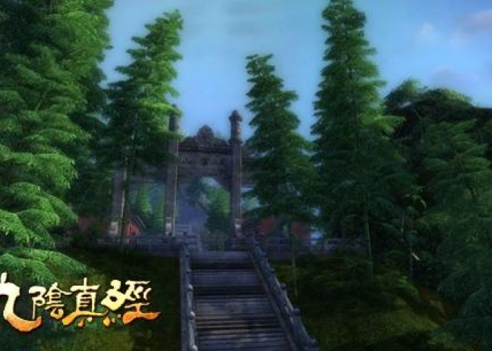 九阴青竹枝,幽谷中的千年秘宝 九阴青竹枝,幽谷中的千年秘宝