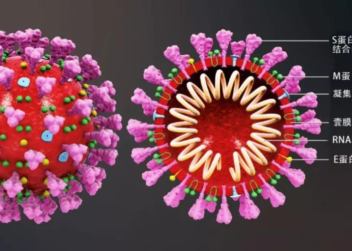 一分钟了解“微信牛牛链接房卡哪里买的”房卡链接获取