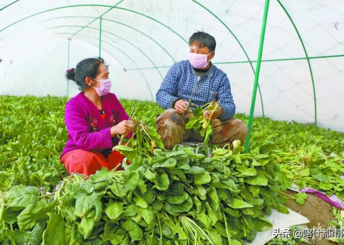 全攻略普及“微信群链接牛牛买房卡-”房卡详细充值 全攻略普及“微信群链接牛牛买房卡-”房卡详细充值