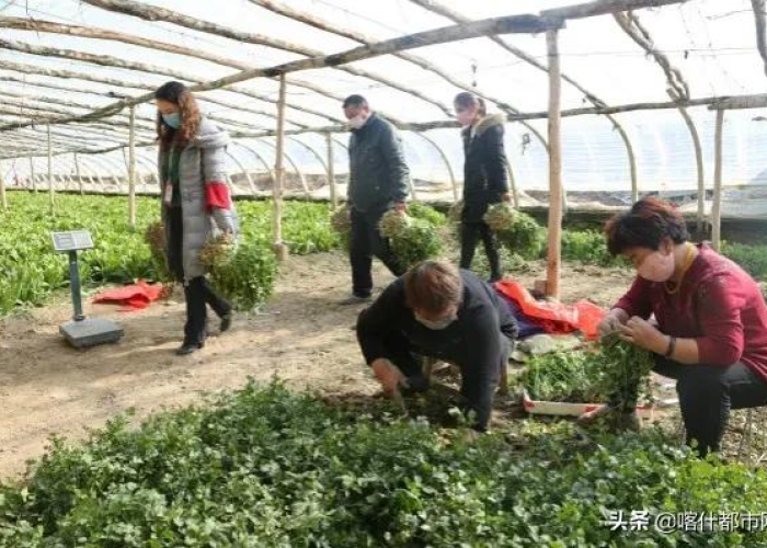 高铁飞驰,心连香江,一条铁路织就的时代画卷 高铁飞驰,心连香江,一条铁路织就的时代画卷