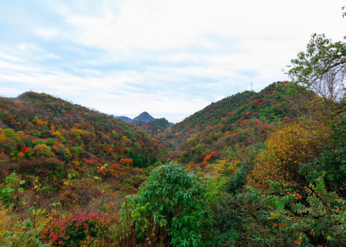 房卡必备教程“微信玩金花房卡”轻松获取房卡全渠道 房卡必备教程“微信玩金花房卡”轻松获取房卡全渠道