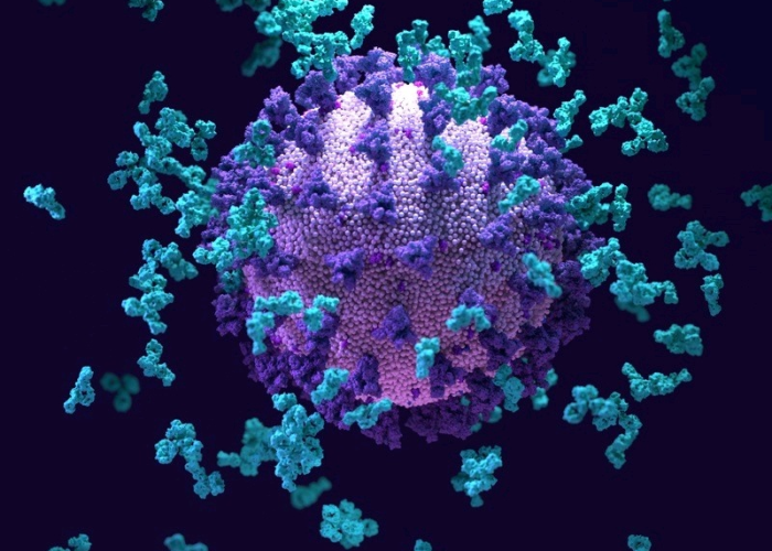 德尔塔毒株的恐怖传播力,揭秘一人可传众的病毒扩散密码 德尔塔毒株的恐怖传播力,揭秘一人可传众的病毒扩散密码