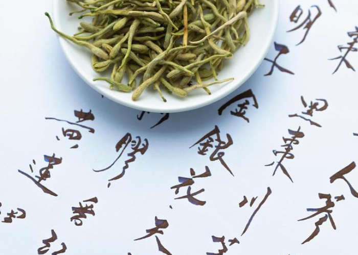 广州海珠新增1例确诊病例来源深度解析,溯源与防控全记录 广州海珠新增1例确诊病例来源深度解析,溯源与防控全记录