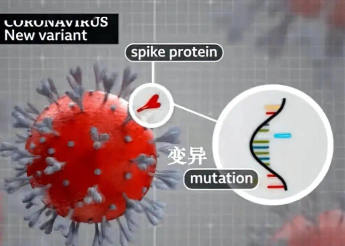 给大家讲解“微信如何炸 金花房间链接”房卡详细充值 给大家讲解“微信如何炸 金花房间链接”房卡详细充值