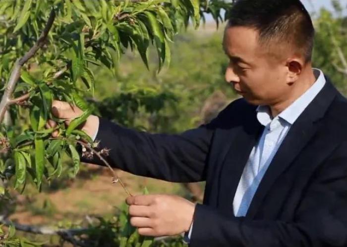 成都疫情,从贰0贰0年初次迎战到常态化防控的历程 成都疫情,从贰0贰0年初次迎战到常态化防控的历程