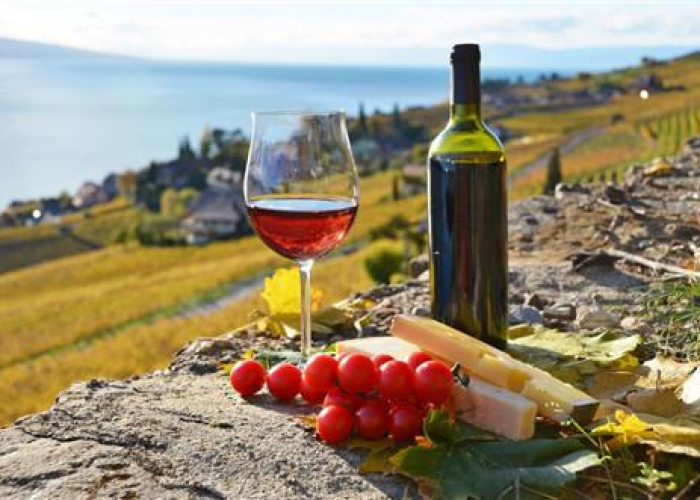 第二波新冠冲击波,并非时间点的追问,而是防疫体系的深度叩诊 第二波新冠冲击波,并非时间点的追问,而是防疫体系的深度叩诊