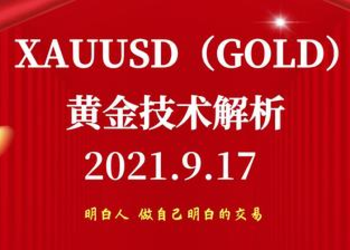 春节限号表，城市交通管理的智慧与温情