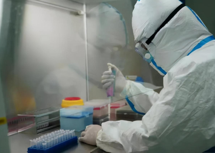 贰陆日安徽疫情速报视频深度解析，数据背后的坚守与烟火气的回归