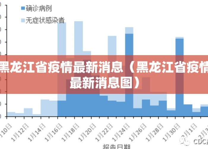 黑龙江疫情动态追踪,今日新增病例解析与防控态势深度观察 黑龙江疫情动态追踪,今日新增病例解析与防控态势深度观察