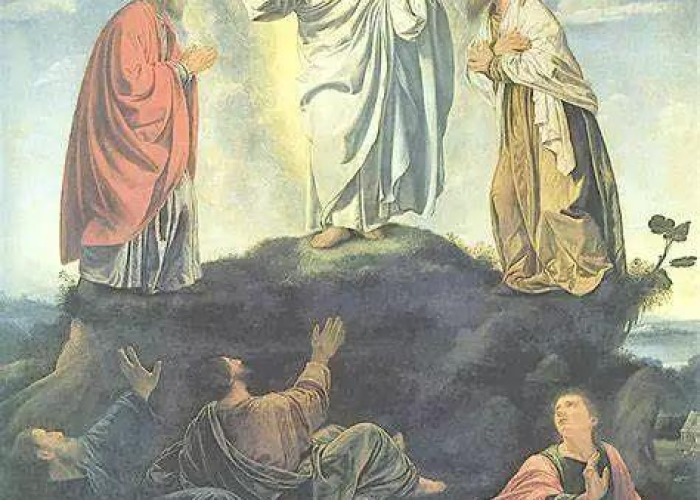 揭秘-2到0之间的数,一场关于无限可能的思想漫游 揭秘-2到0之间的数,一场关于无限可能的思想漫游