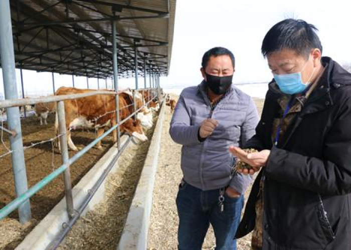 全国疫情稳中向好,31省新增19例本土,广东2例引关注,防控不松懈 全国疫情稳中向好,31省新增19例本土,广东2例引关注,防控不松懈