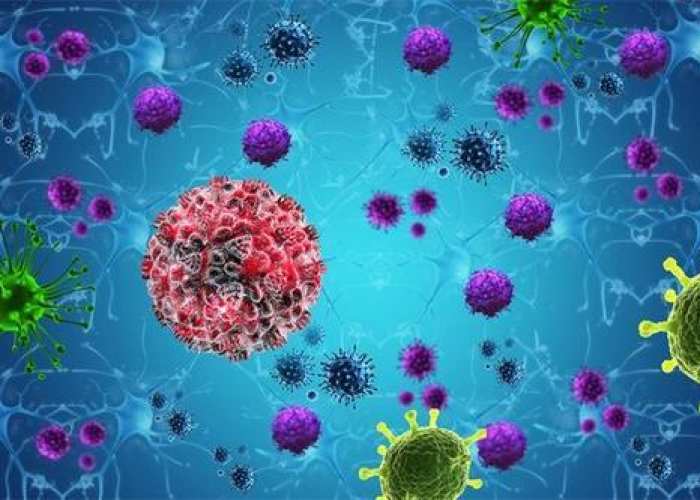 北京新发地疫情始末,一场突发公共卫生事件的警示与反思 北京新发地疫情始末,一场突发公共卫生事件的警示与反思