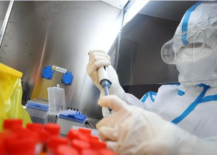 保定市竞秀区应对新冠肺炎疫情工作领导小组办公室，筑就人民健康的坚实防线