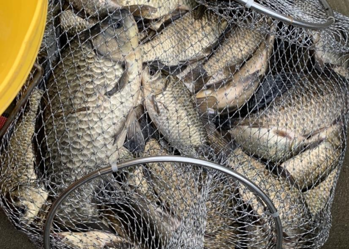 喷火烈焰,燃爆战场,DNF纵火犯喷火器外观深度解析与设计哲学 喷火烈焰,燃爆战场,DNF纵火犯喷火器外观深度解析与设计哲学