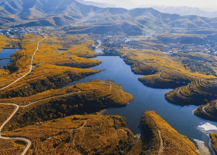 一分钟介绍使用“斗牛房卡链接哪里买”轻松获取房卡全渠道 一分钟介绍使用“斗牛房卡链接哪里买”轻松获取房卡全渠道