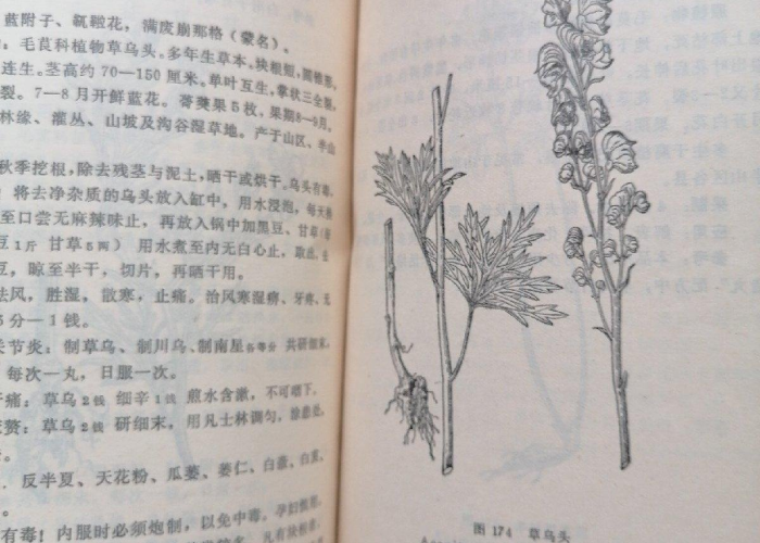 全攻略普及“新皇豪牛牛金花房卡”房卡获取方式 全攻略普及“新皇豪牛牛金花房卡”房卡获取方式