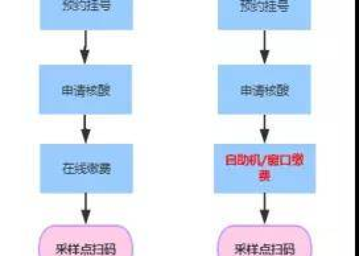 核酸自费检测，费用背后的现实考量与未来展望
