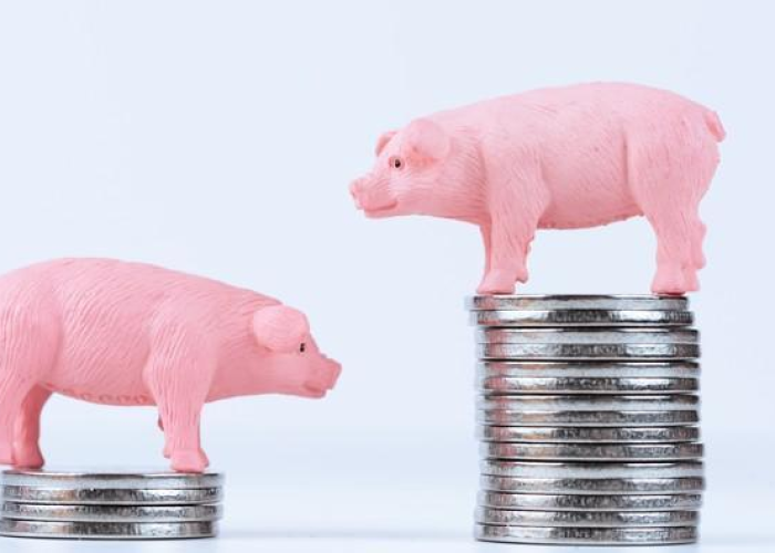 一分钟了解“金花牛牛房卡出售”获取房卡教程-哔哩哔哩