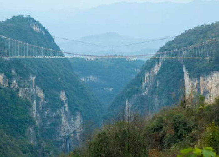 上海外地牌照限行政策详解，违规处罚、规避方法与最新规定