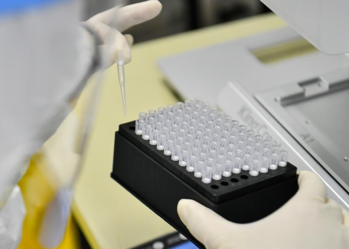 拨通未来前的一课,探寻哈师大招生办电话背后的教育温度与信息甄别智慧 拨通未来前的一课,探寻哈师大招生办电话背后的教育温度与信息甄别智慧