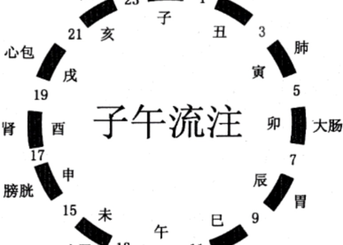 四季轮回,生肖流转,探寻与一年四季最契合的生肖奥秘 四季轮回,生肖流转,探寻与一年四季最契合的生肖奥秘