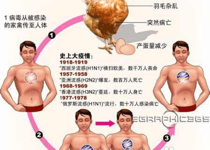 秒懂教程“微信链接金花房卡怎么弄”轻松获取房卡全渠道