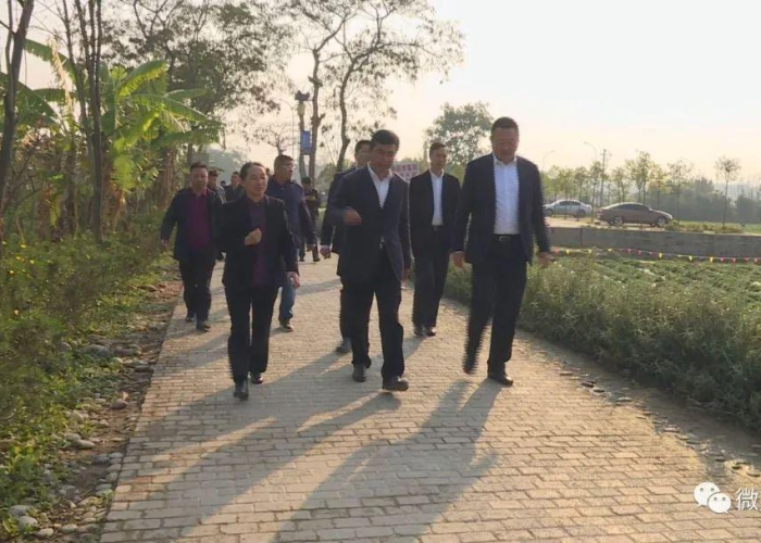 射阳同心筑防线,常态防控不松懈,精准施策保民生 射阳同心筑防线,常态防控不松懈,精准施策保民生