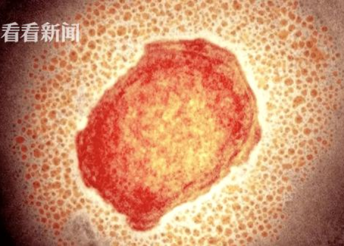 一分钟了解“微信金花从哪里买房卡”房卡获取方式