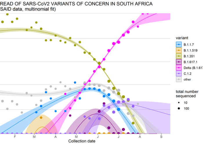 德尔塔毒株全球渗透,变异毒株如何重塑国家抗疫图景与地缘神经 德尔塔毒株全球渗透,变异毒株如何重塑国家抗疫图景与地缘神经