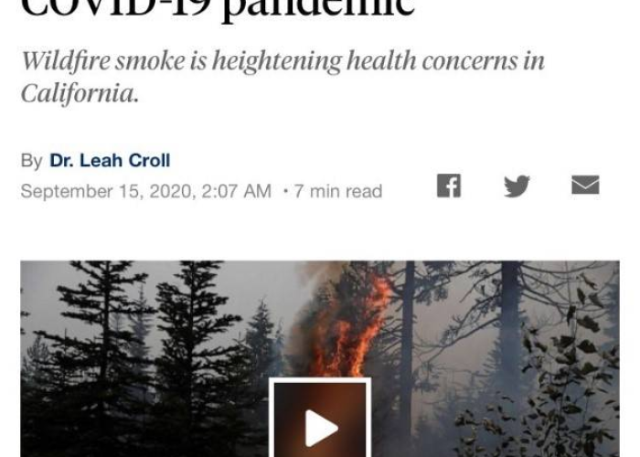 上海最新疫情通告，精准防控下的城市复苏之路