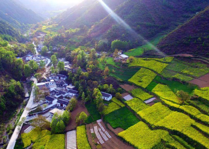 和康县，秦巴山区的生态明珠与人文瑰宝