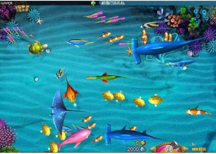 安卓玩捕鱼假日,重温经典,掌握技巧,畅享海洋冒险之旅 安卓玩捕鱼假日,重温经典,掌握技巧,畅享海洋冒险之旅