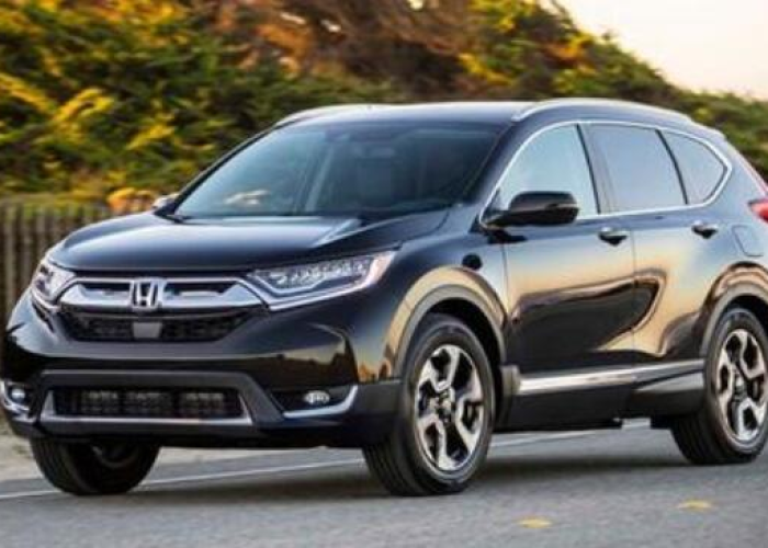 清明免费通行,政策暖意下的出行博弈与文明考量 清明免费通行,政策暖意下的出行博弈与文明考量