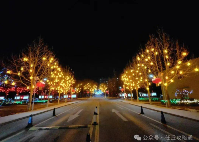 任丘韧性,透视非常时期的城市肌理与人文底色 任丘韧性,透视非常时期的城市肌理与人文底色