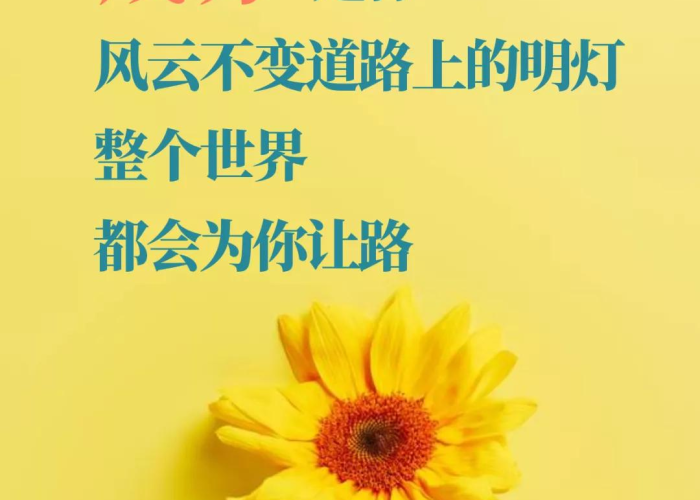 2021年春节高速免费通行全解读,您的归途与返程指南,一文掌握精准时段 2021年春节高速免费通行全解读,您的归途与返程指南,一文掌握精准时段