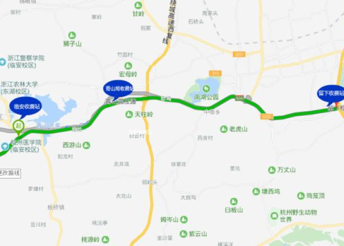 高速公路免费通行,一年究竟有几天?这份终极指南请收好! 高速公路免费通行,一年究竟有几天?这份终极指南请收好!