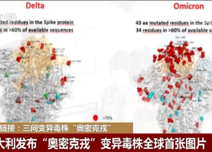 德尔塔毒株关键变异位点解析,从刺突蛋白突变到全球疫情演变 德尔塔毒株关键变异位点解析,从刺突蛋白突变到全球疫情演变