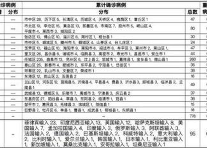 山东新增1例境外输入确诊病例，疫情防控常态化下的挑战与应对